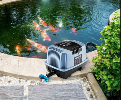 Quiet Pond Air Pump – Powerful Aeration Without the Noise
